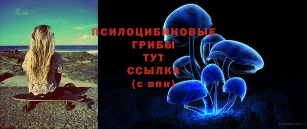 мет Арсеньев
