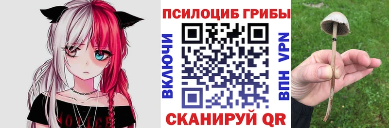blacksprut сайт  Урай  Галлюциногенные грибы мицелий 